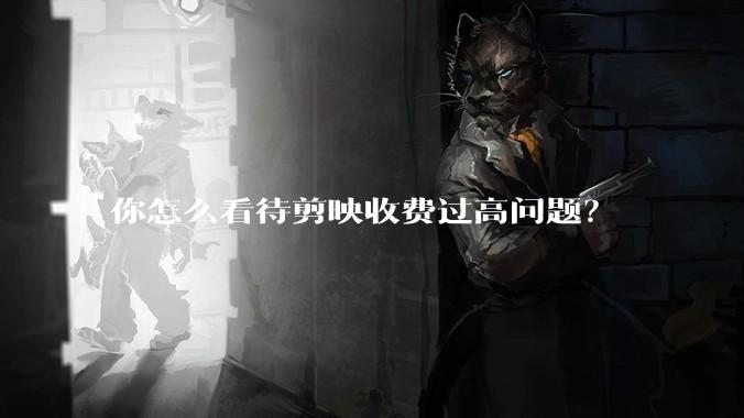 你怎么看待剪映收费过高问题?
